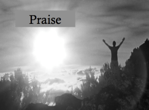 Praise