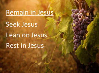 Screen Shot 2015-01-20 at 2.13.02 PM