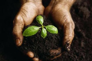 Spiritual Growth